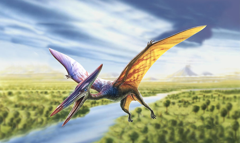 dinosaur birds that fly